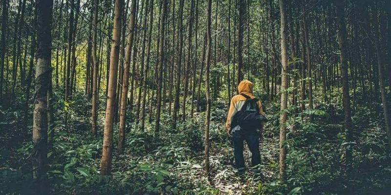 Mơ Thấy Đi Lạc Và Những Thông Điệp Từ Tiềm Thức 2026 1 Mơ Thấy Đi Lạc Và Những Thông Điệp Từ Tiềm Thức 2026